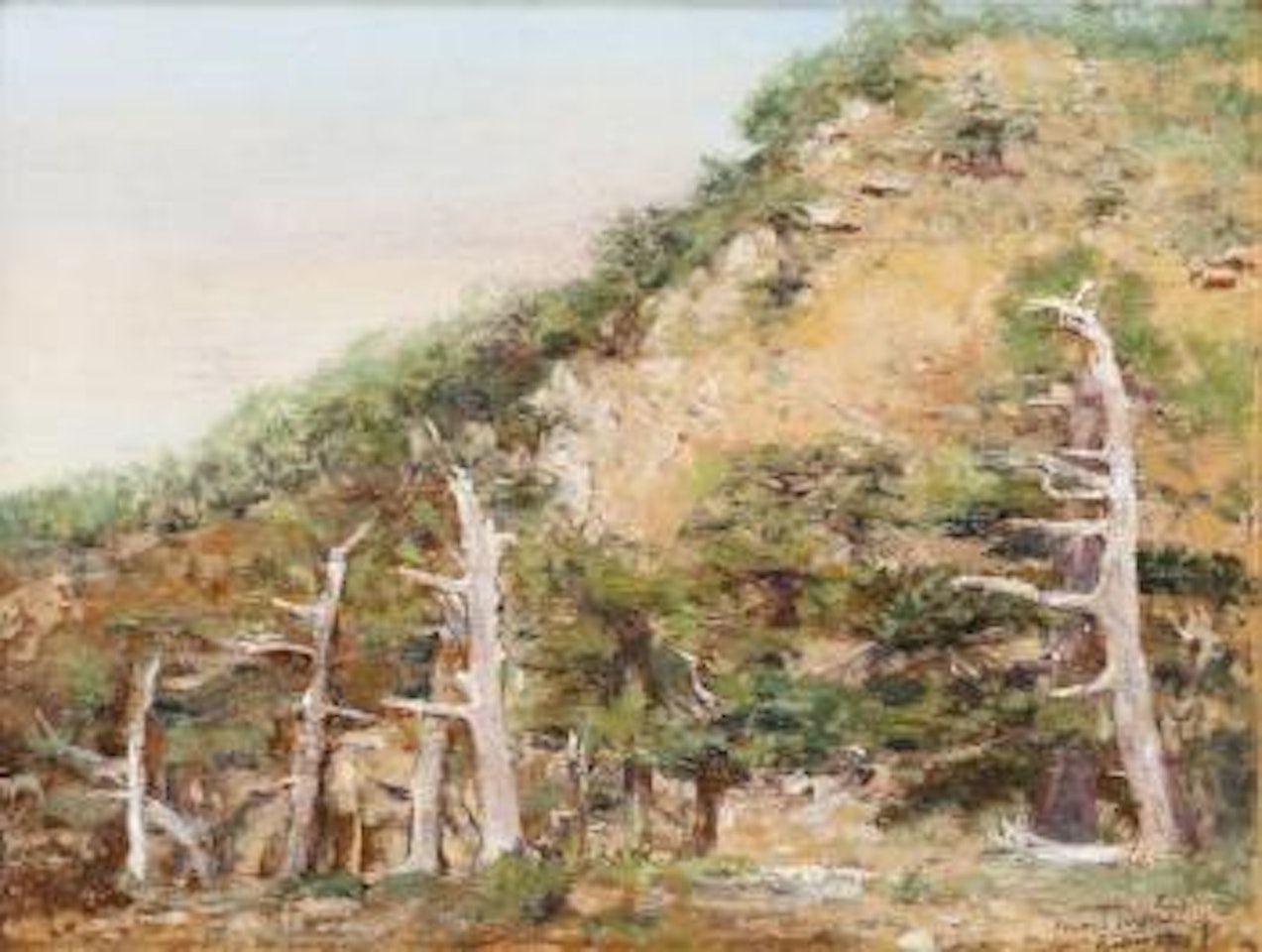 Cèdres du Djurdjura by Etienne Alphonse Dinet
