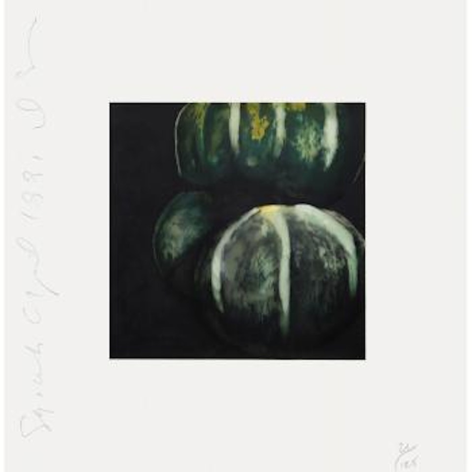 Squash by Donald Sultan
