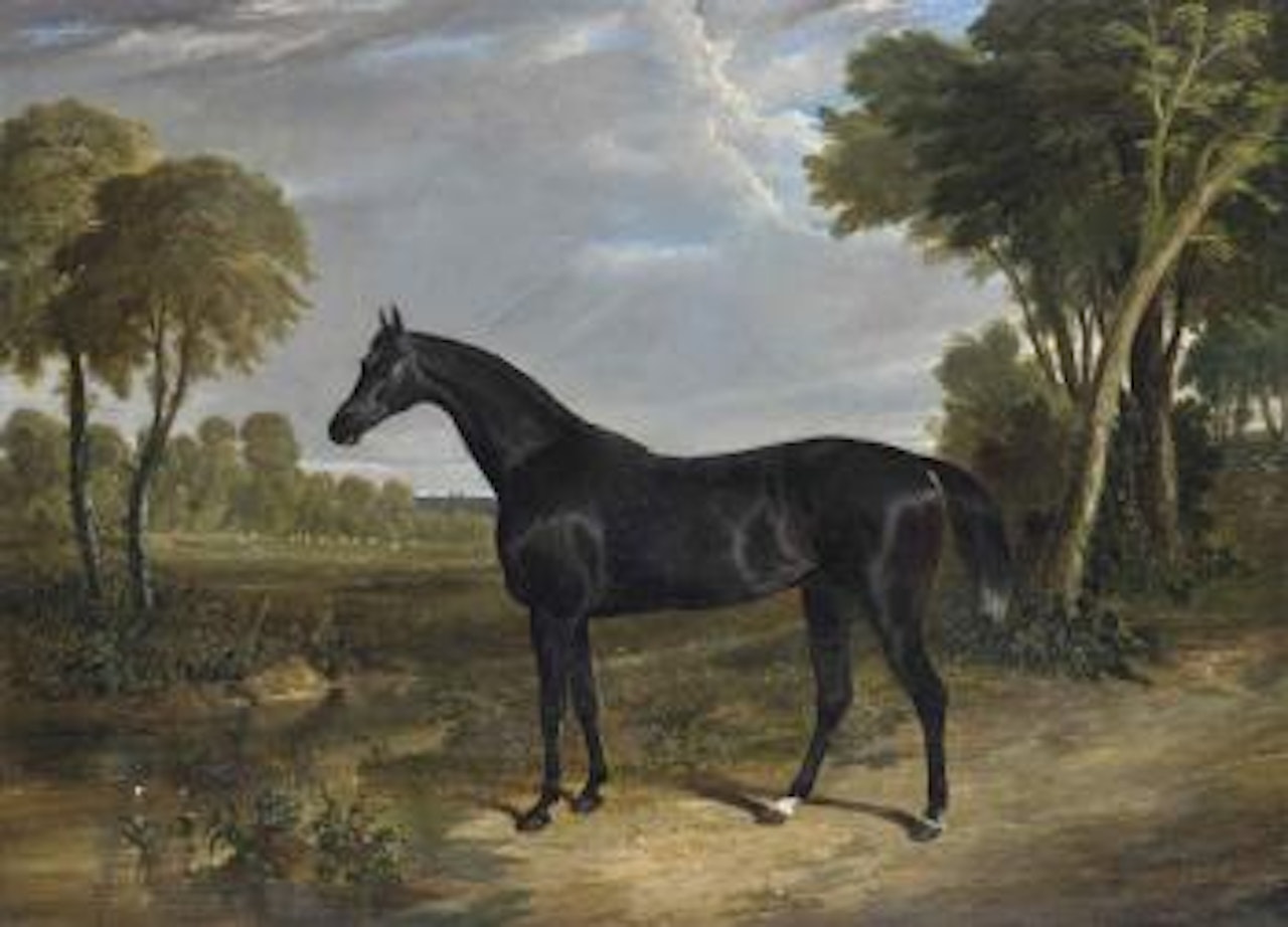 Grey Neville by John Frederick Herring