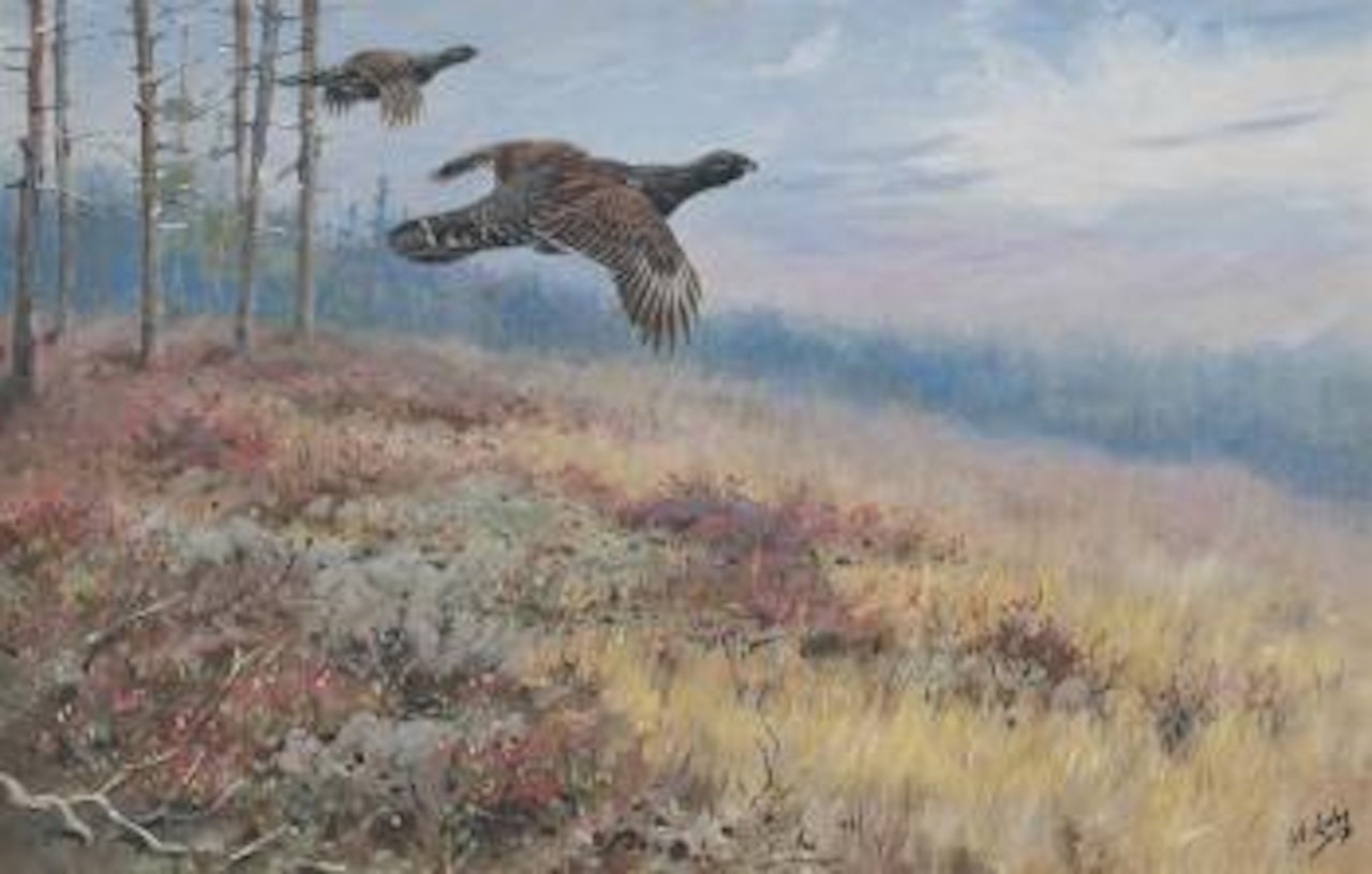 Capercaillie by George Edward Lodge