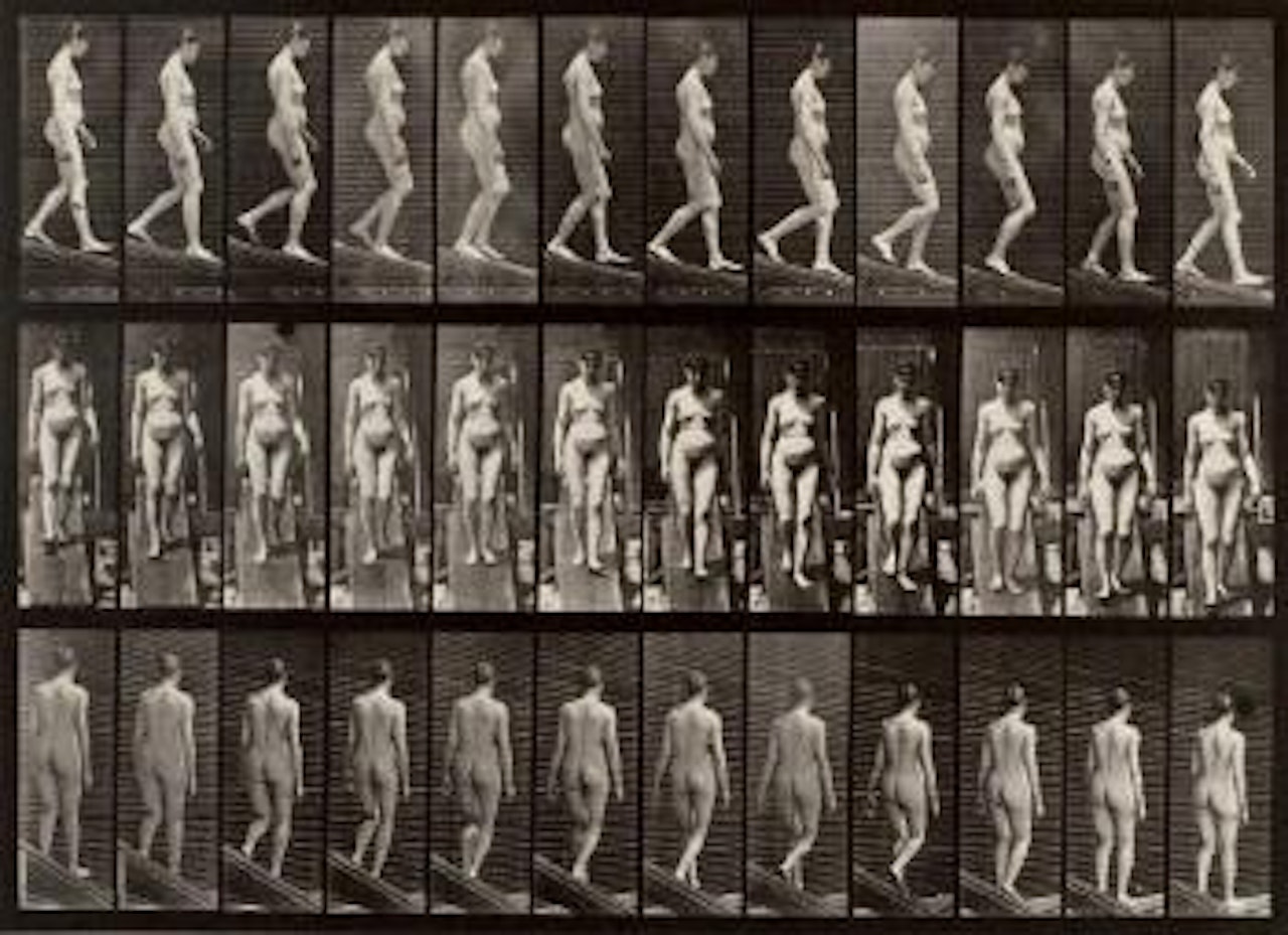 Animal locomotion by Eadweard Muybridge