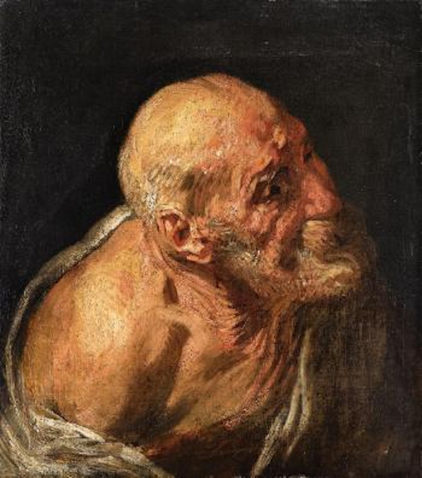 Studie eines alten Mannes by Jacob Jordaens