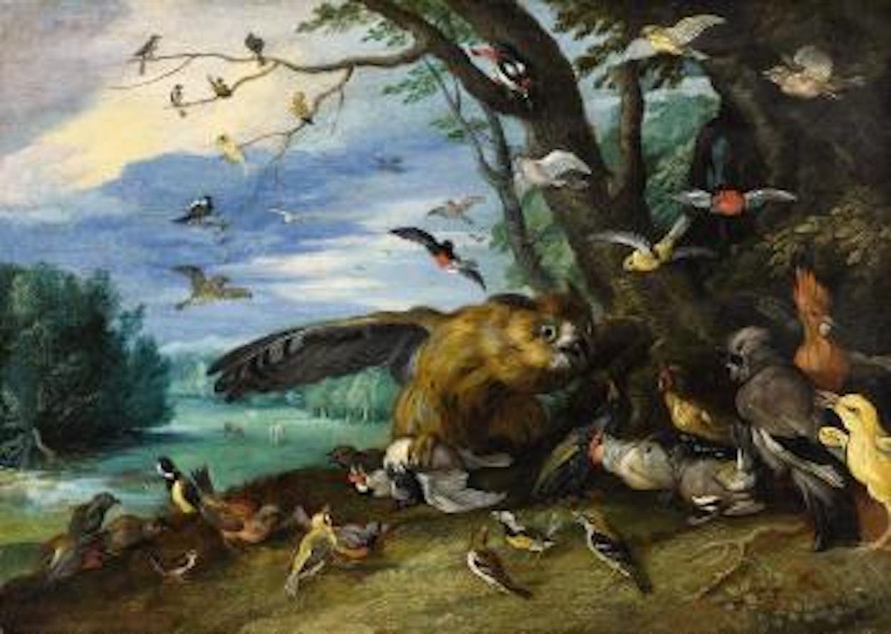 Kampf der Vögel by Jan Van Kessel The Elder