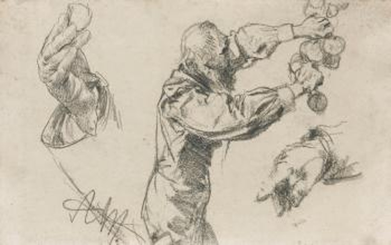 Man Picking Fruit, With Hand Studies by Adolph Menzel