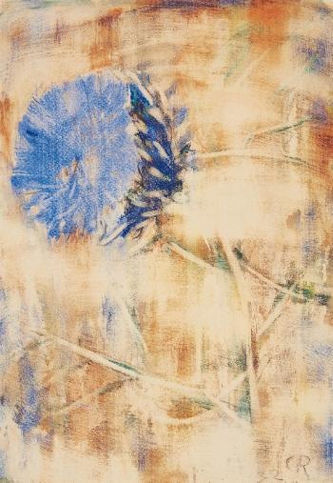 Blaue Blüte auf rötlichem Grund (Distel) by Christian Rohlfs