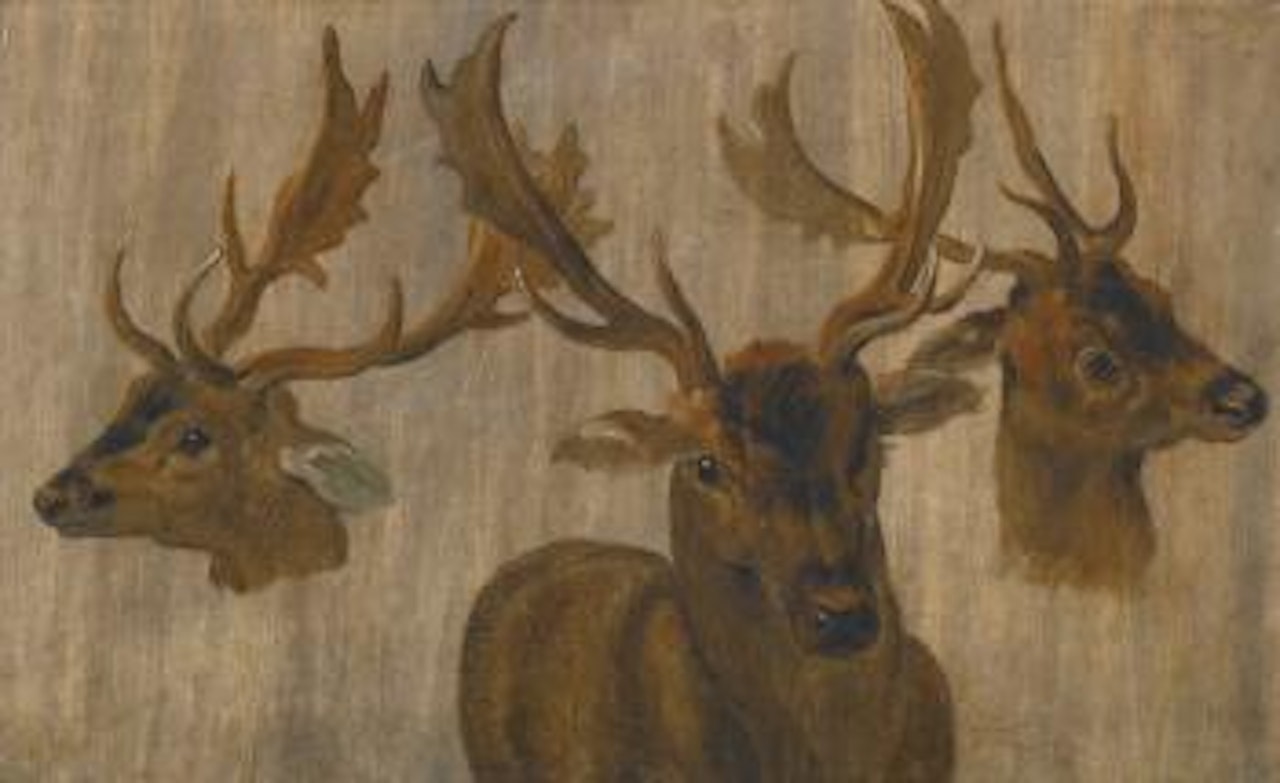 Studies of a Stag by Jan Brueghel the Younger