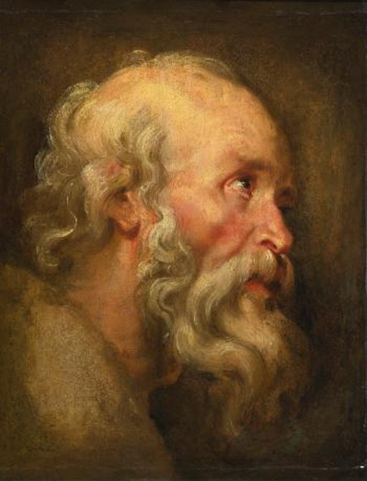 Head of an old Man by Peter Paul Rubens