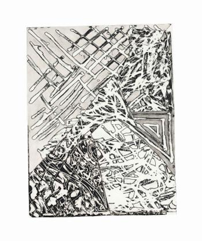 Swan Engraving I, from Swan Engravings by Frank Stella