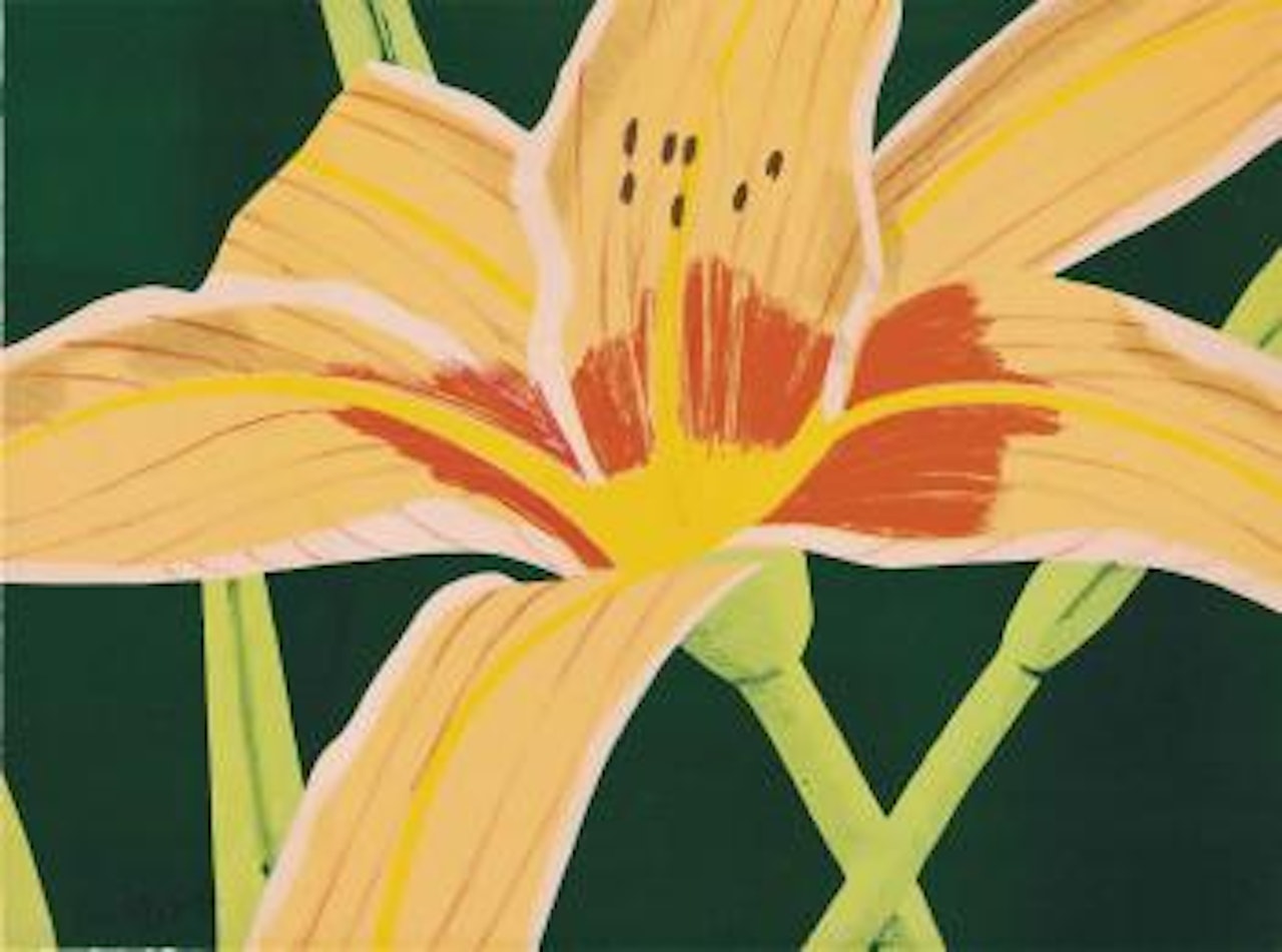 Day Lily 1, 1969 by Alex Katz