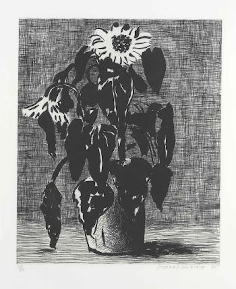 Sunflower I by David Hockney
