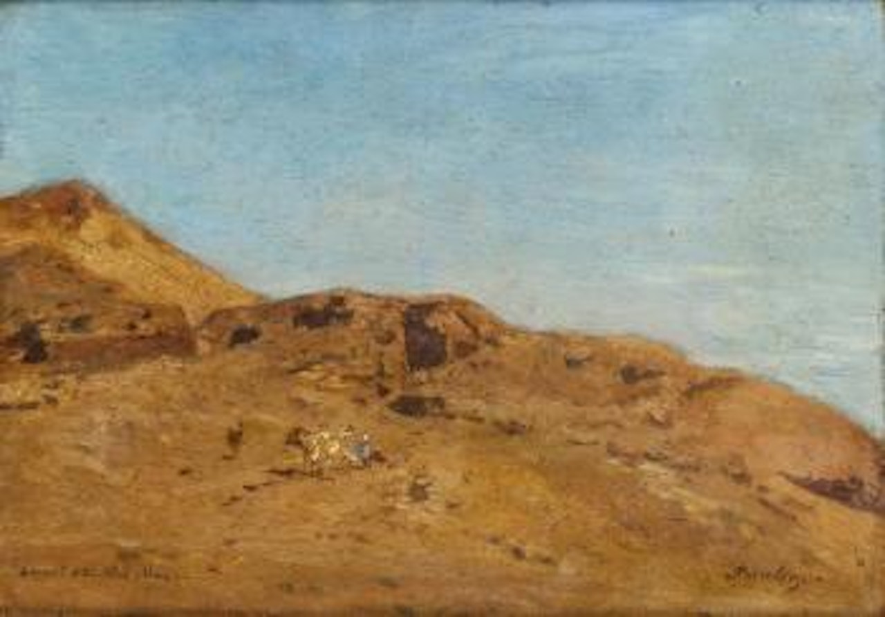 Désert du Sinaï, Tez, Alnat by Narcisse Berchere