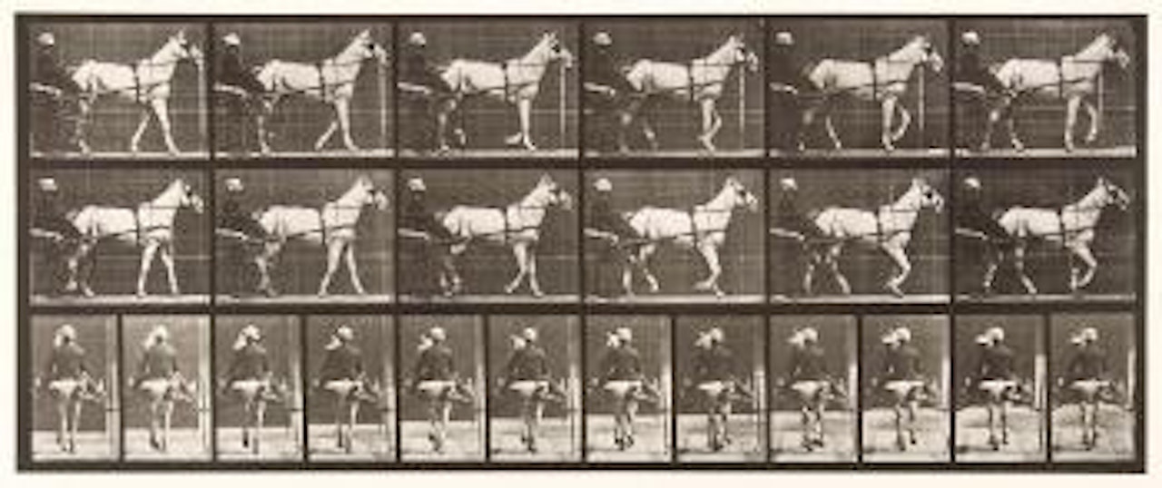 Katydid, walking, sulky, light-gray mare, plate 585 by Eadweard Muybridge