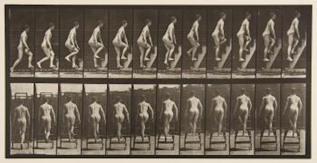 Nude male ascending step-ladder, plate 109 by Eadweard Muybridge