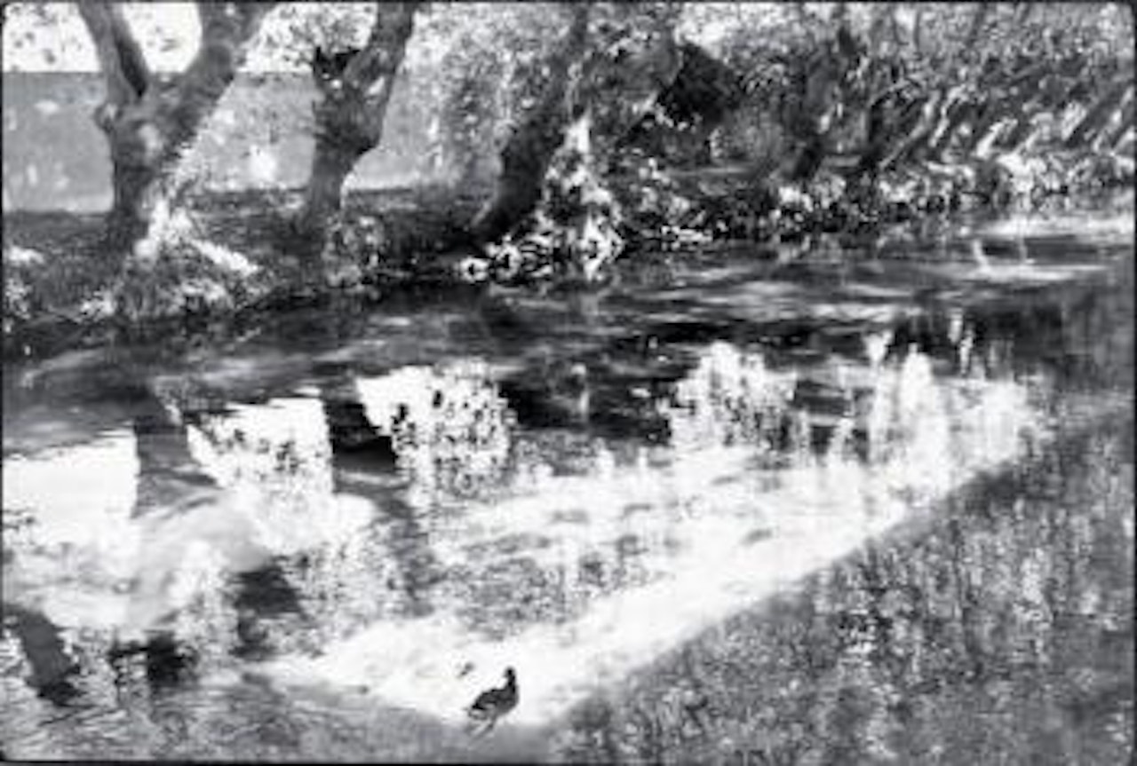 L'Isle-sur-la-Sorgue by Henri Cartier-Bresson