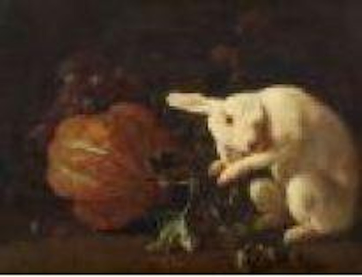 Stillleben mit Früchten und weißem Kaninchen by Franz Werner von Tamm