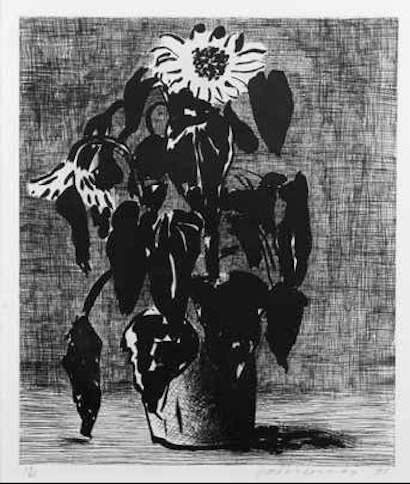 Sunflower II (MCA Tokyo 348) by David Hockney