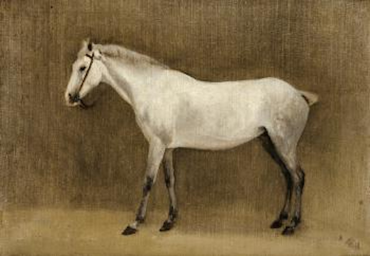 Cheval Gris Pommelé by Jean Baptiste Camille Corot