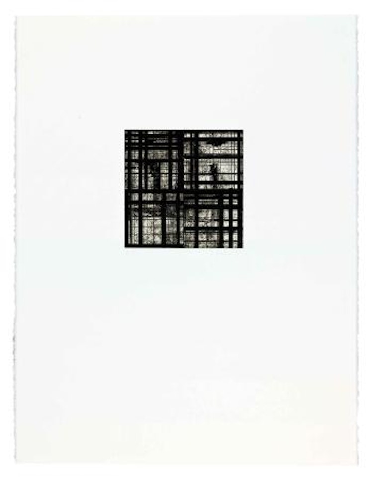 Tiles by Brice Marden