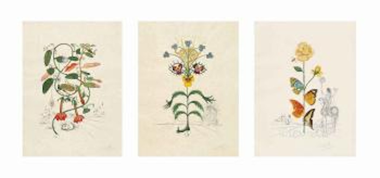 FlorDali (Flora Dalinae) by Salvador Dali