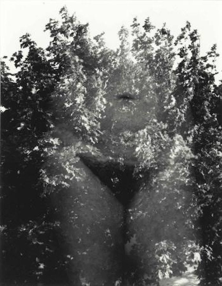 Eleanor, Aix-en-provence, France, 1958 by Harry Callahan