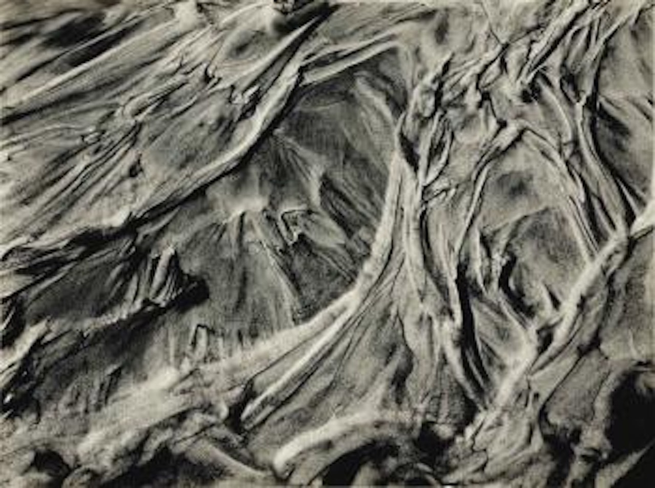 Creek Bottom, 1932 by Edward Weston