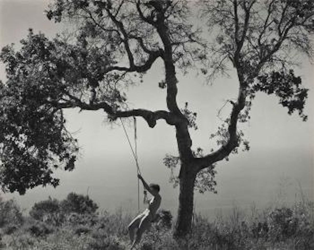 Winter Idyll, 1945 by Edward Weston