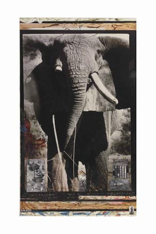 Tsavo Tusker, on the Athi-Tiva River, 1965 by Peter Beard