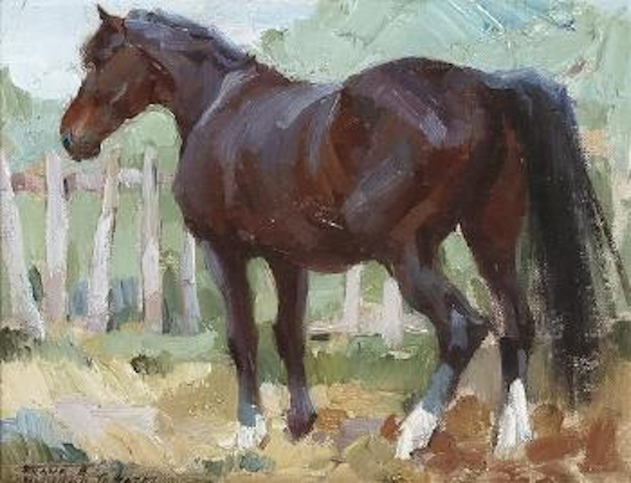 The Saddle Horse by Frank B. Hoffman
