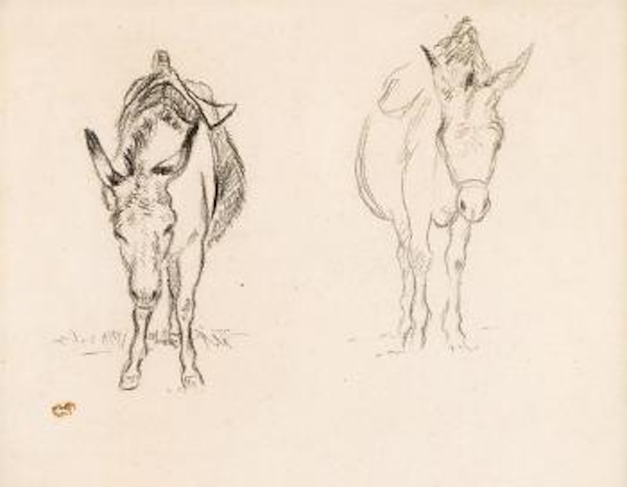 Études d'Ânes by Camille Pissarro