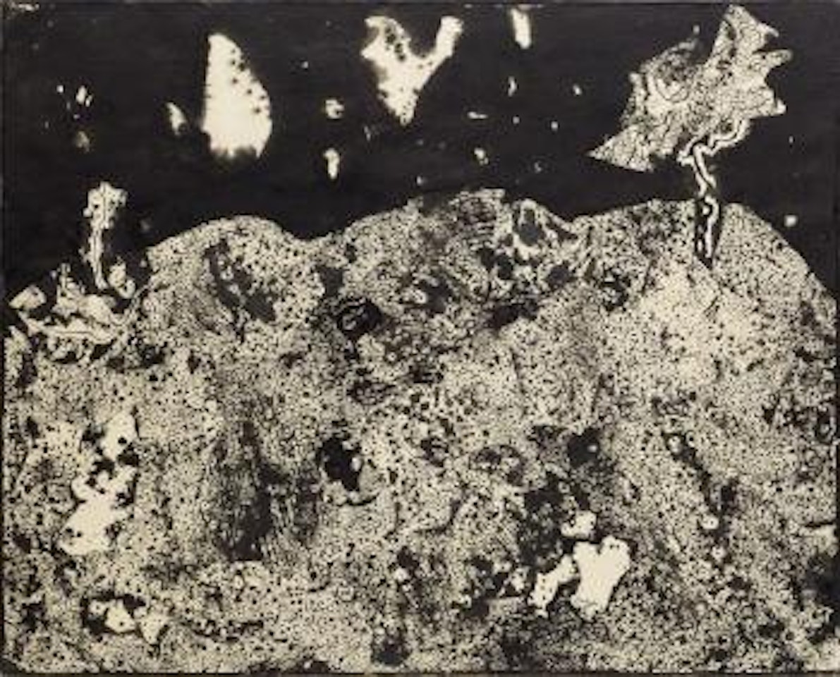 Paysage aux nuages tachetés by Jean Dubuffet
