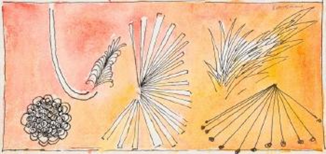 Patterns by Charles Blackman