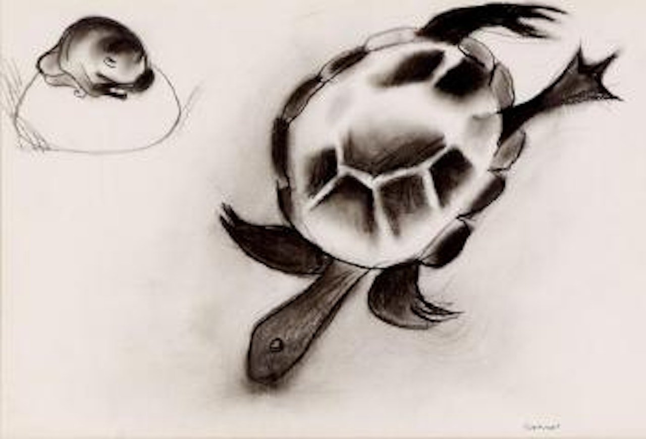 Tortoise and frog by Charles Blackman
