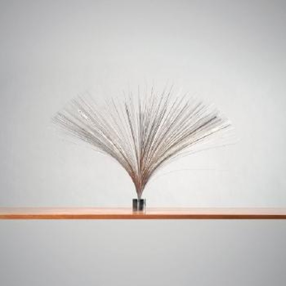 Spray by Harry Bertoia