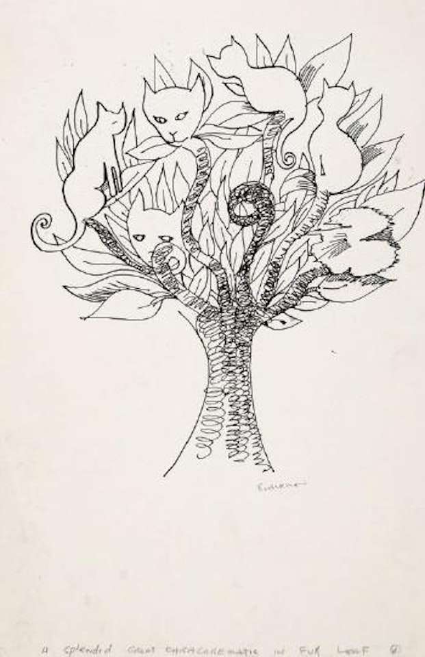 A splendid great Chracorematic in full leaf by Charles Blackman