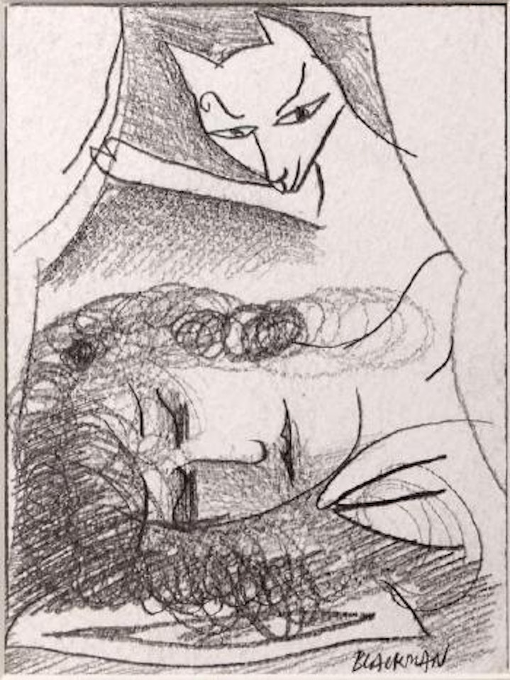 The cat enters while sleeping by Charles Blackman