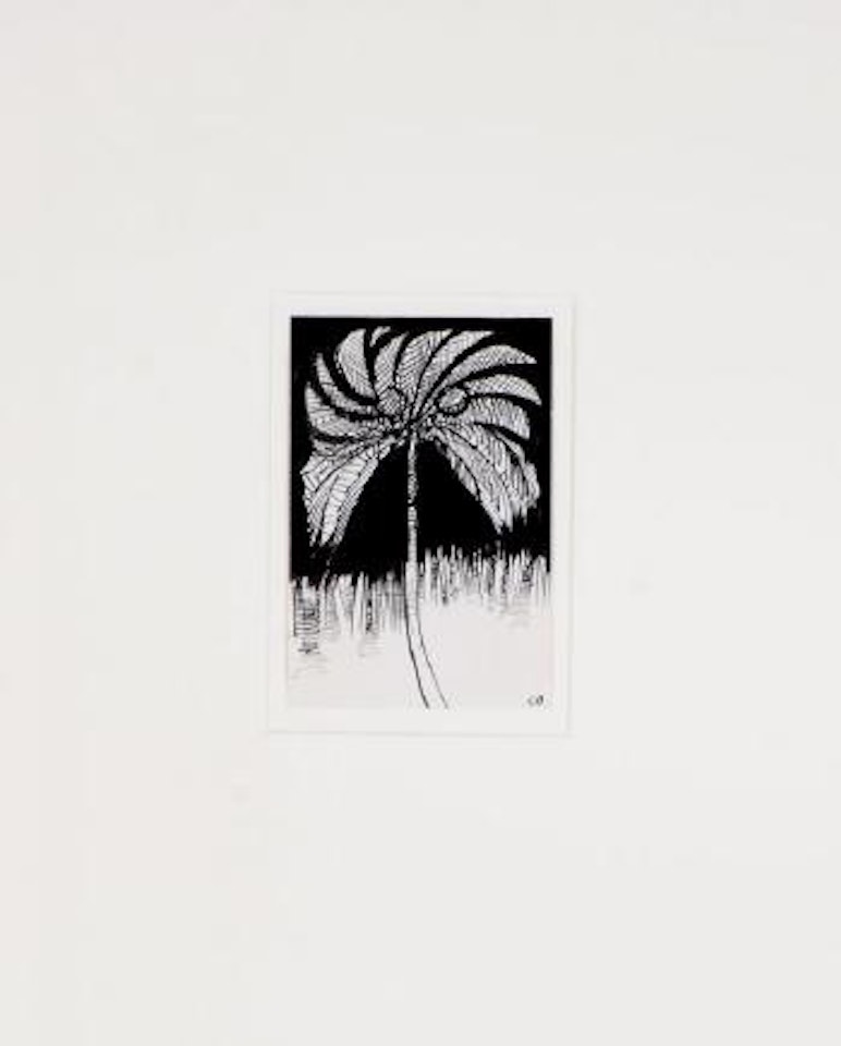 Night owl palm tree by Charles Blackman