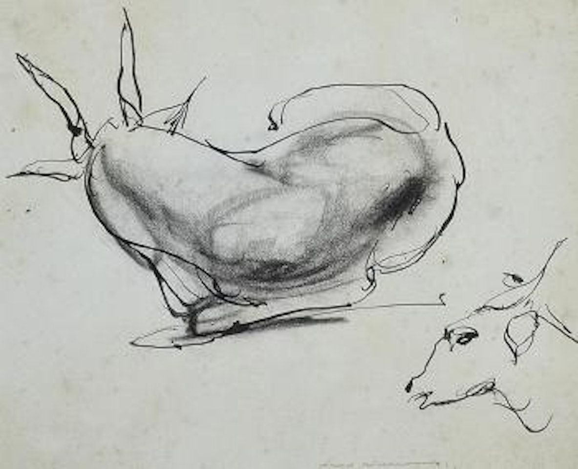 Animal Study, London Zoo by Frederick Ronald Williams