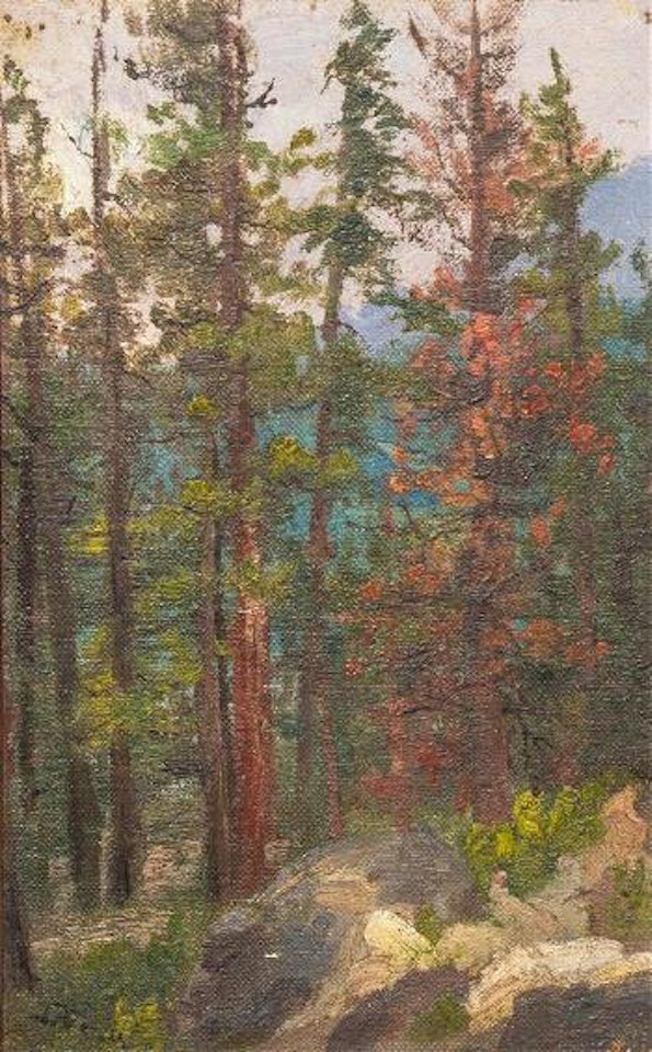 Woodland Interior by John Fery