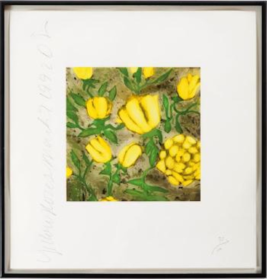 Yellow roses, March 9 by Donald Sultan