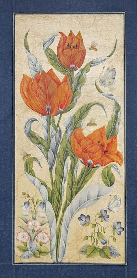 A Floral Study by Safavid School