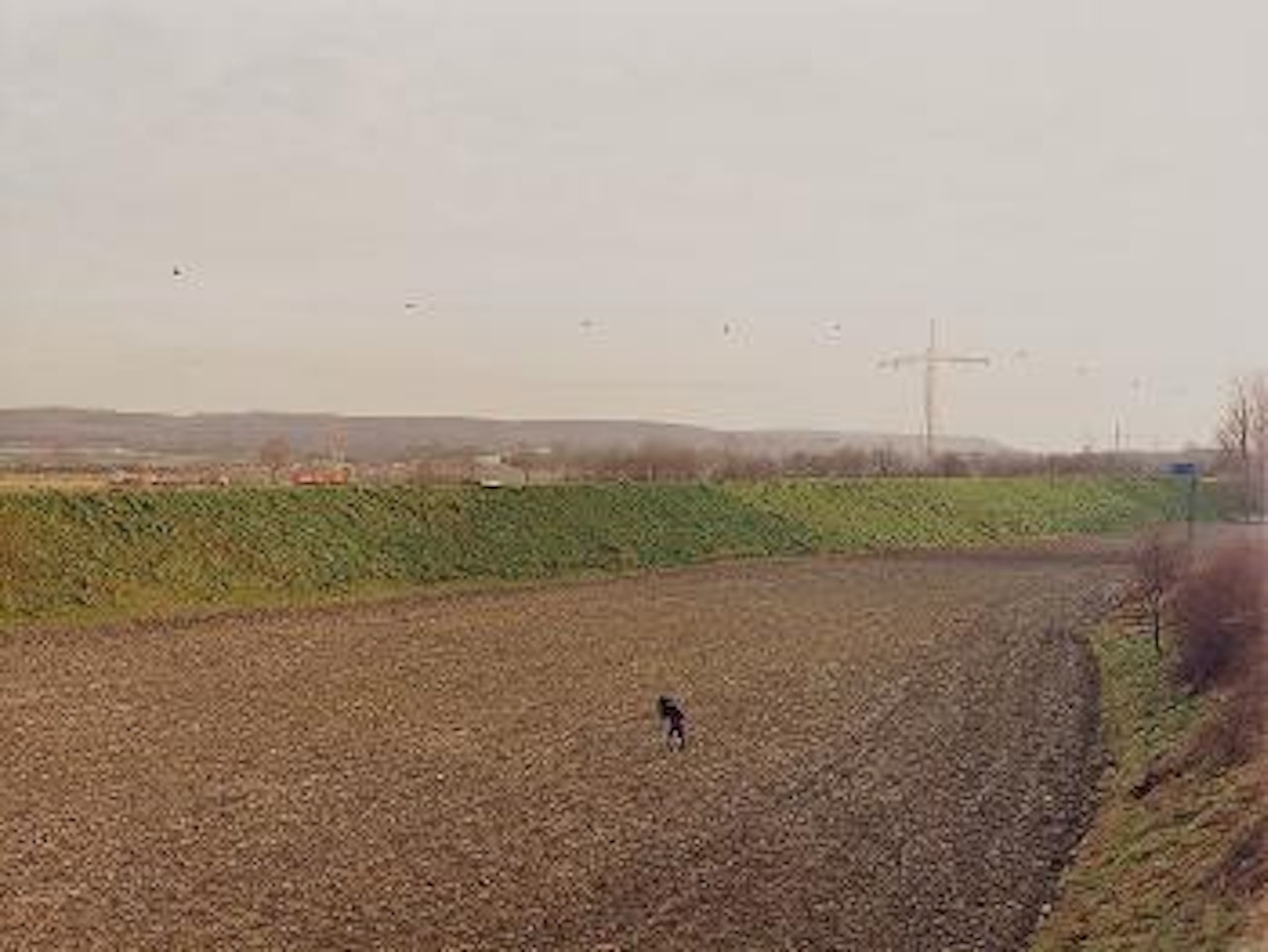 Fotograf, Düsseldorf by Andreas Gursky