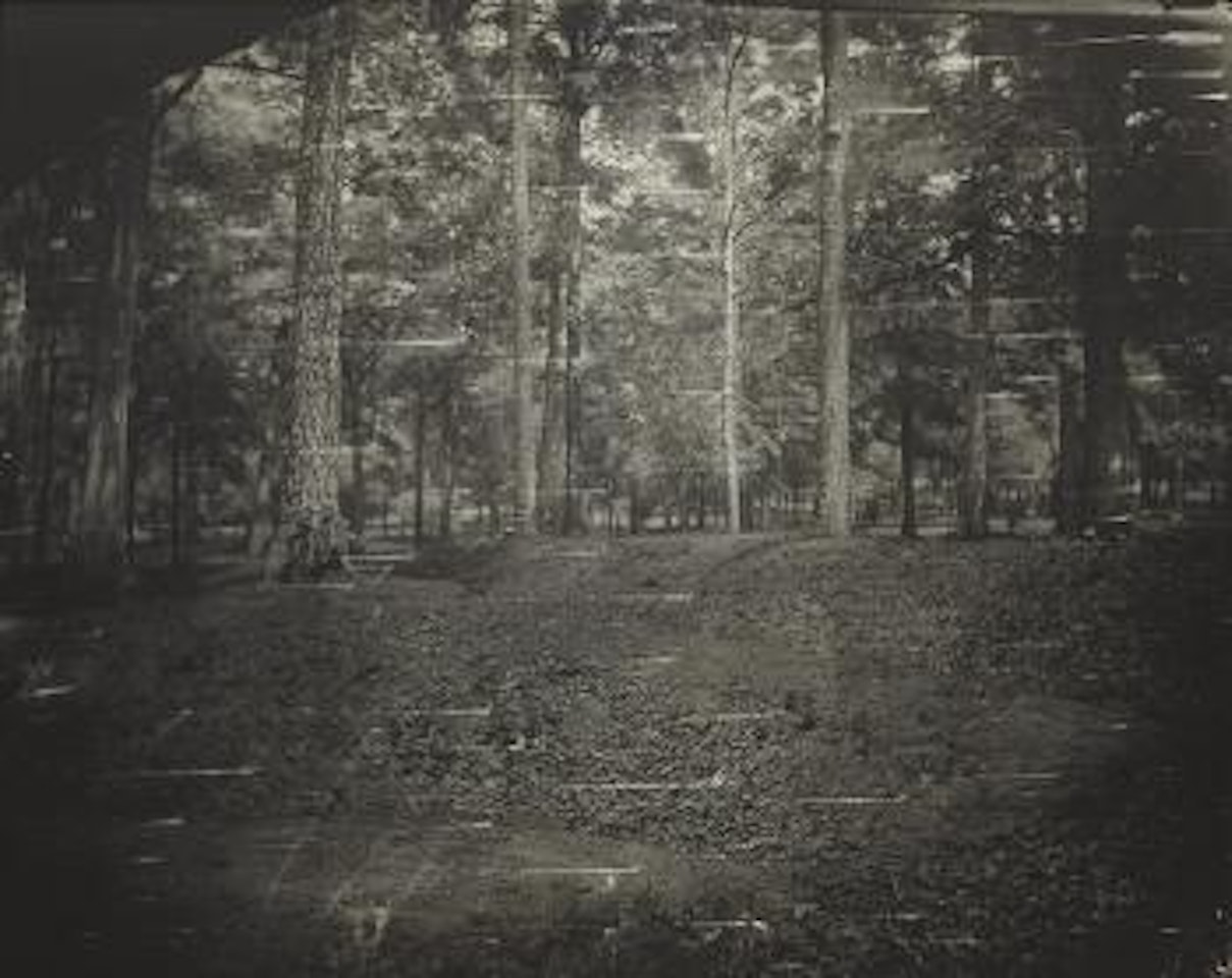 Untitled (Cold Harbor #27), 2002 by Sally Mann