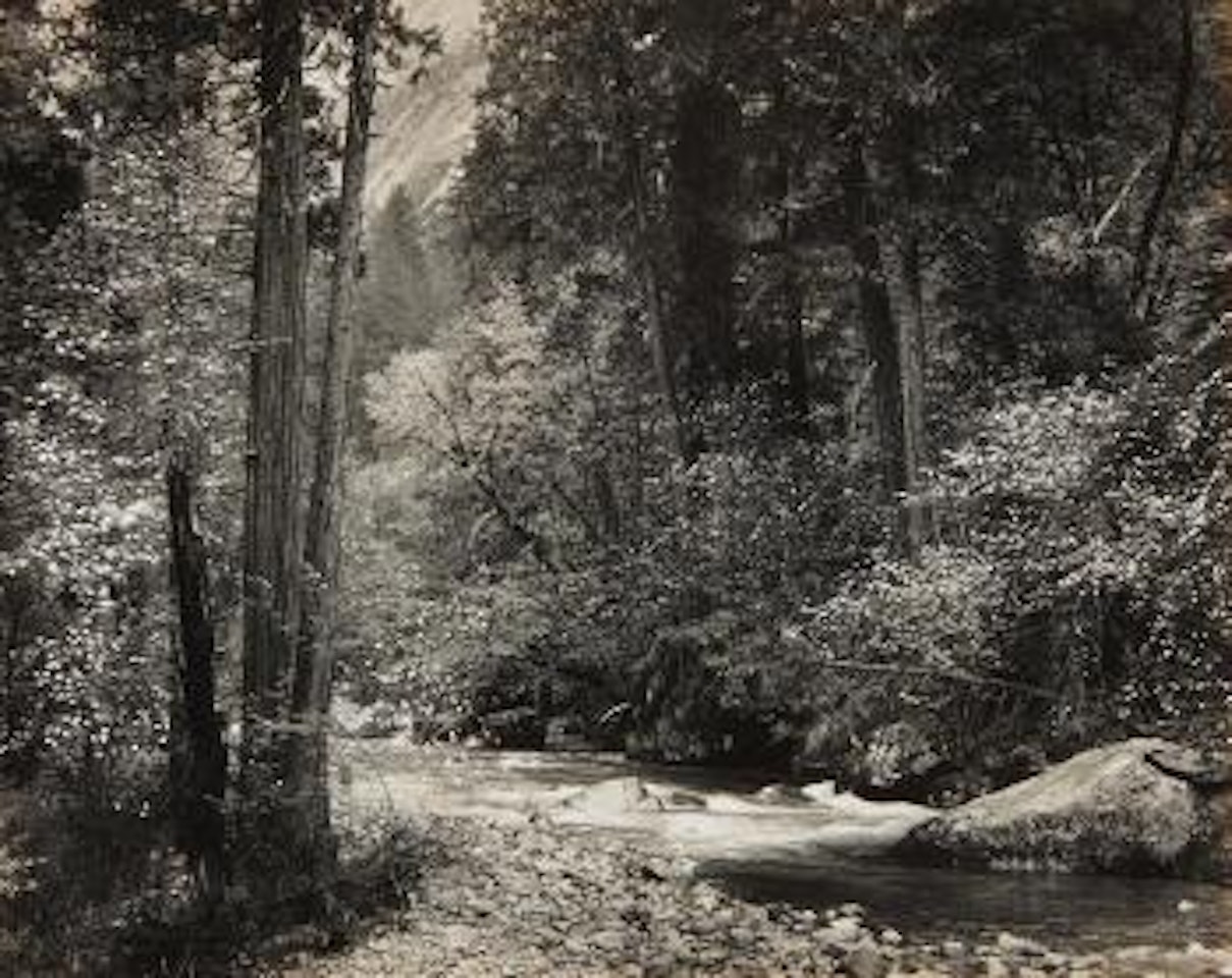 Tenaya Creek, Dogwood, Rain, Yosemite National Park, California, 1948 by Ansel Adams