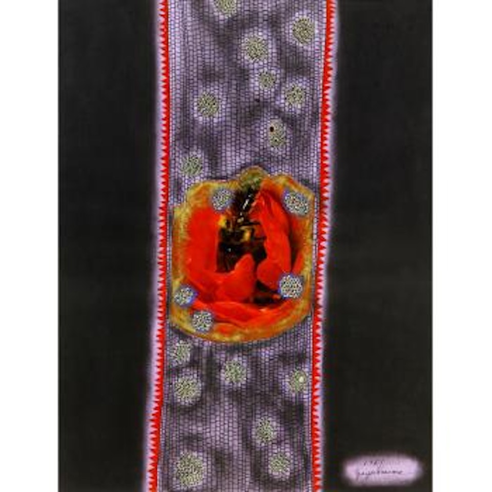 Pistils and stamens by Yayoi Kusama