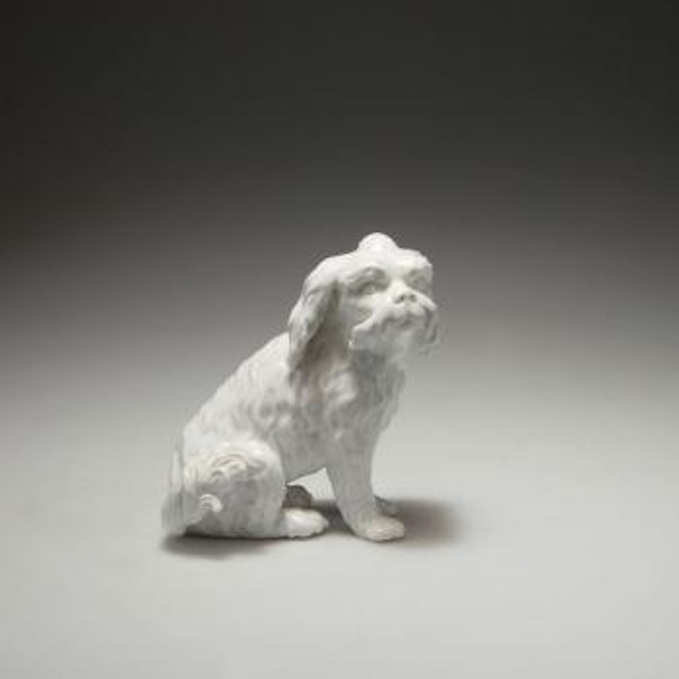 Bolognese dog by Johann Joachim Kändler
