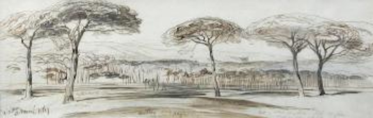 Fir Trees by Edward Lear