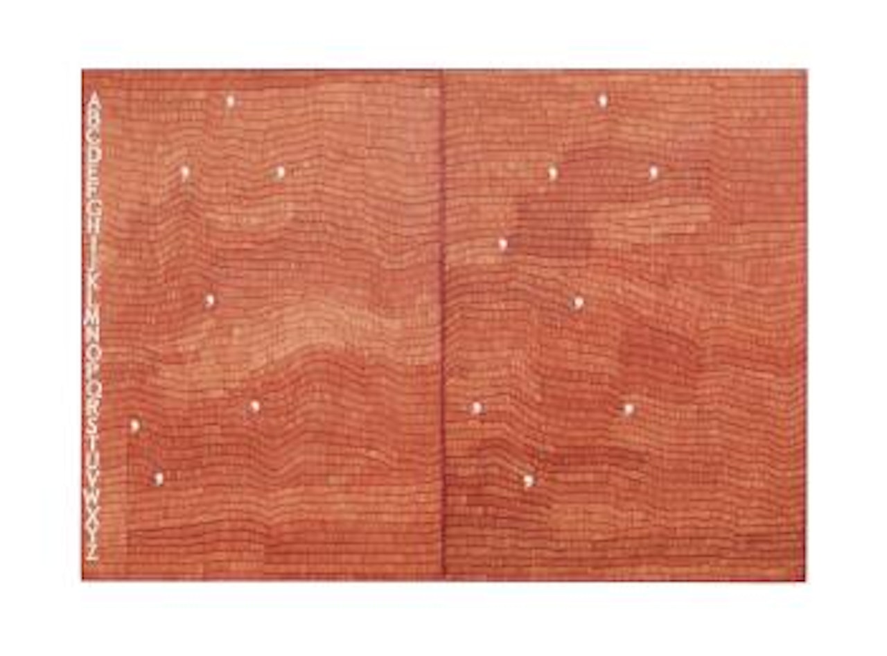 Svelare Rivelare (Unveiling Reveal) by Alighiero Boetti