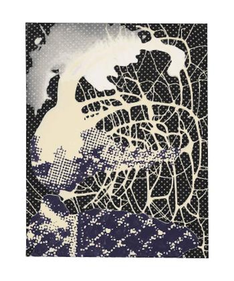 Untitled by Sigmar Polke