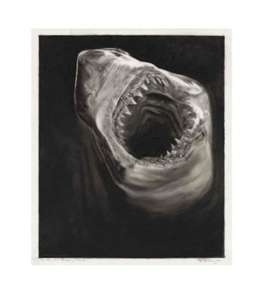 Study for Raging Shark by Robert Longo