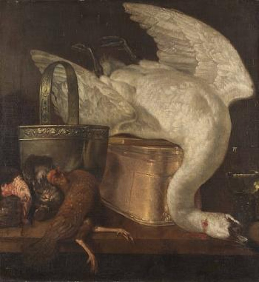 Natura morta con pennuti e catini di rame [Still life] by Jan Weenix